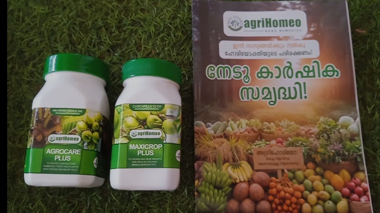 കൃഷിയിൽ ഹോമിയോ പരീക്ഷിക്കുന്നു കേട് വന്ന പഴച്ചെടിയിൽ ഹോമിയോ മരുന്ന് ഉപയോഗം