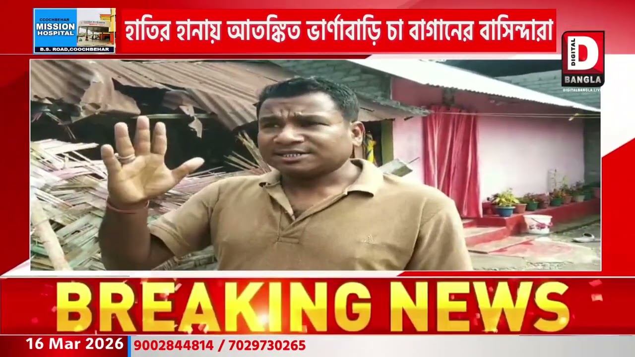 হাতির হানায় আতঙ্কিত ভার্ণাবাড়ি চা বাগানের বাসিন্দারা