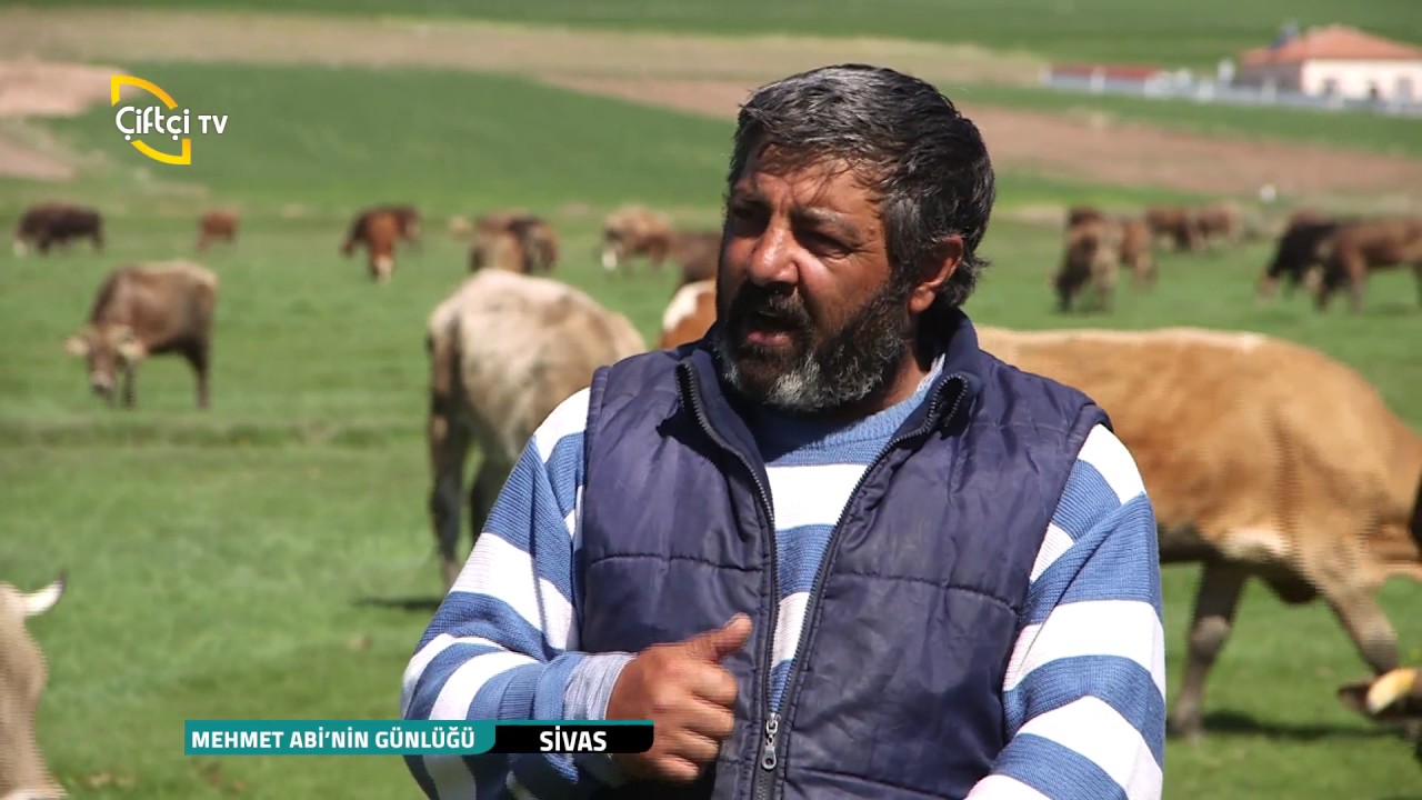 Mehmet Abi'nin Günlüğü - Kızılca Kışla Köyü Sivas