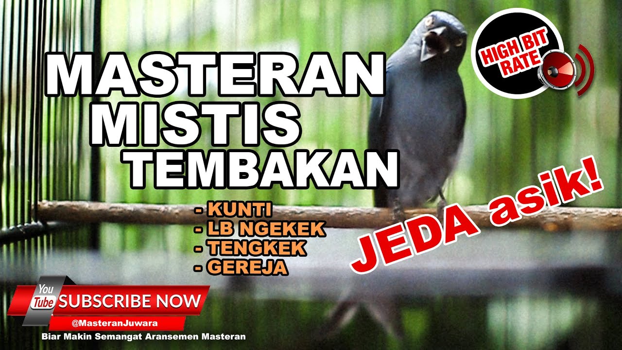 #1 🔴 Suara Masteran Burung Mistis Srigunting Abu Abu Gacor Isian Tembakan Panjang❗️