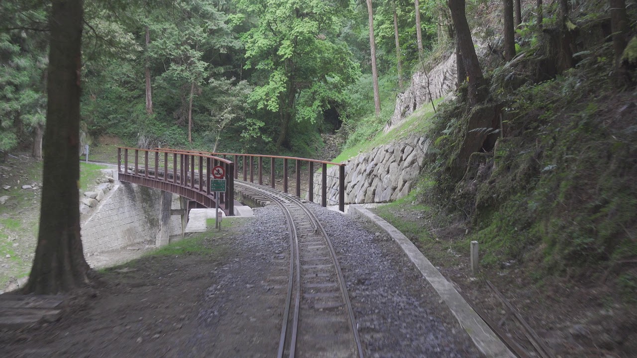 台鐵 阿里山森林鐵路【阿里山火車碰壁】郵輪式列車 二萬平站 -祝山站 路程景 Alishan Forest Railway Train