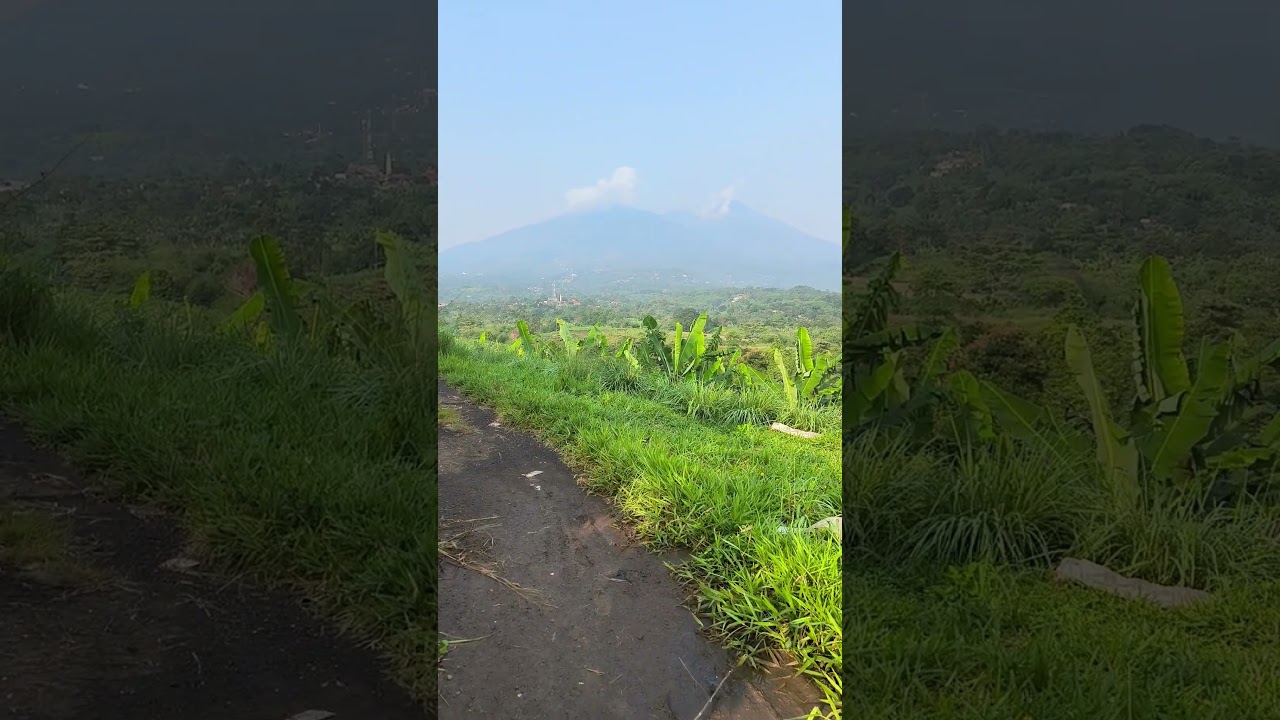 Amazing view of Mount Salak, Bogor, Indonesia #shorts #nature #walking