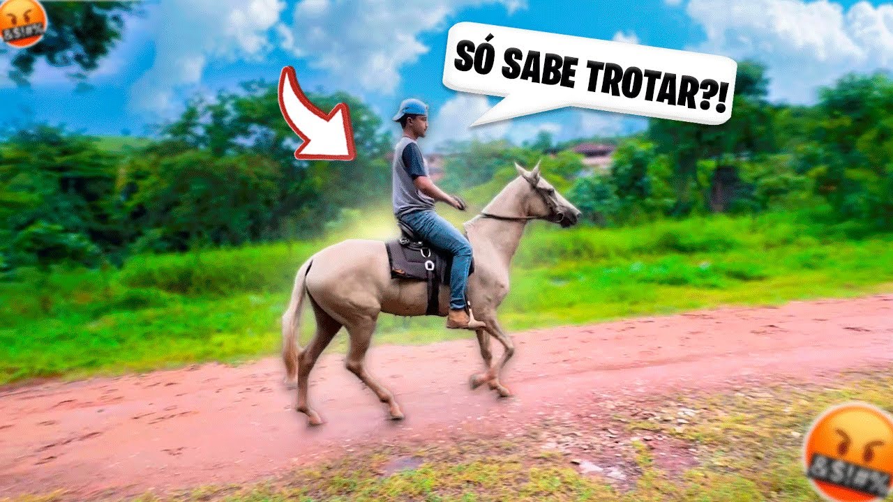 MEU AMIGO VEIO MONTAR na MINHA ÉGUA NOVA !