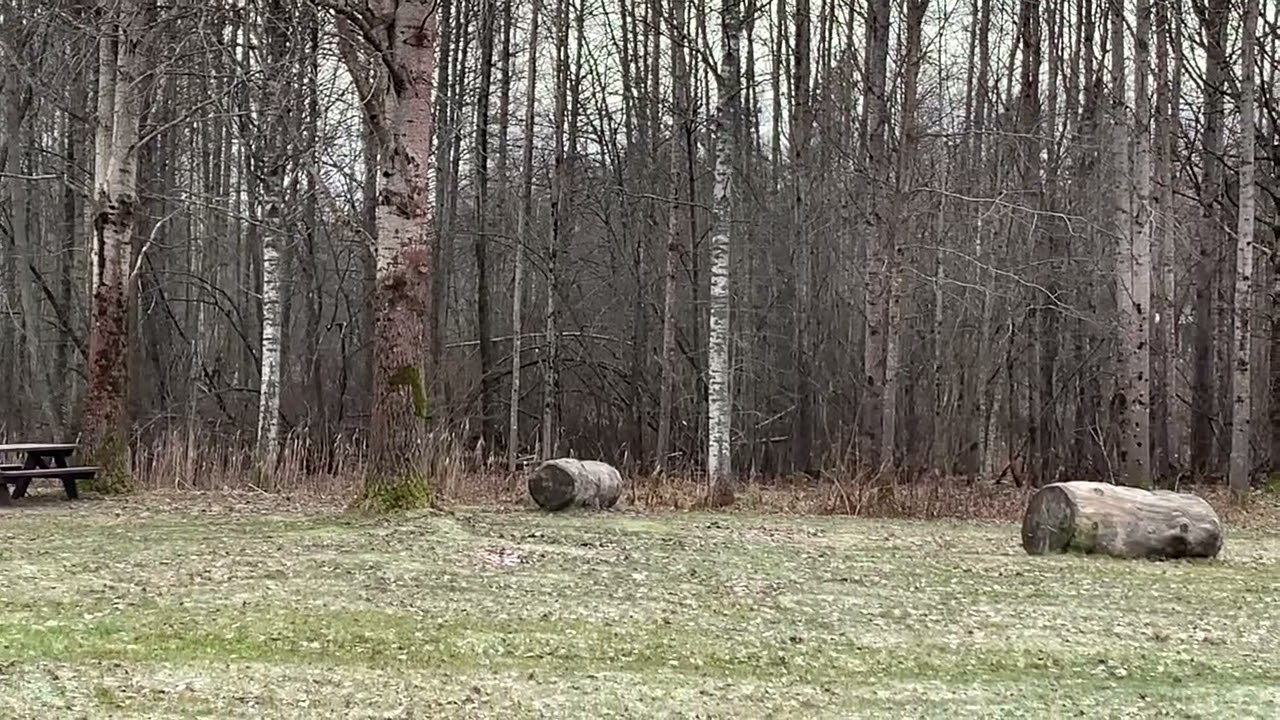 Новий район Vantaa.Suomi.Без снігу ,але з морозом.13 грудня.