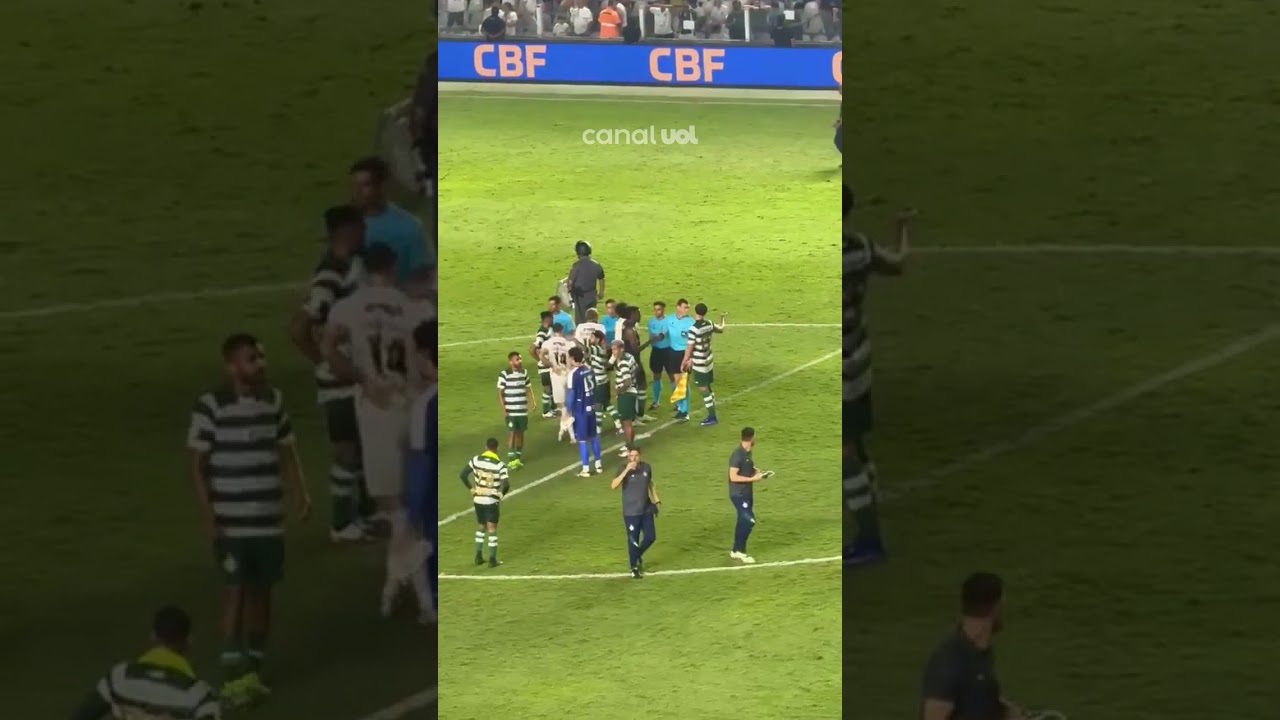 A TORCIDA DO SANTOS VAIOU O TIME