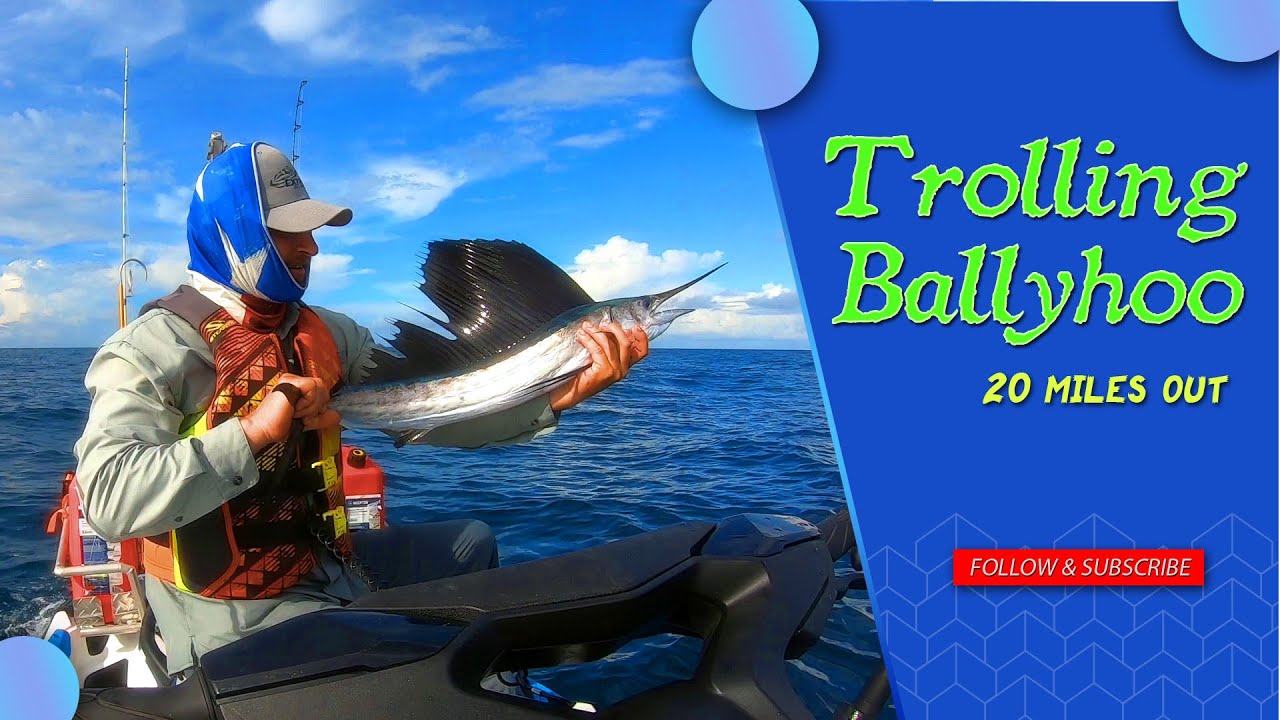 Trolling Ballyhoo / 20 miles out on Jet Ski