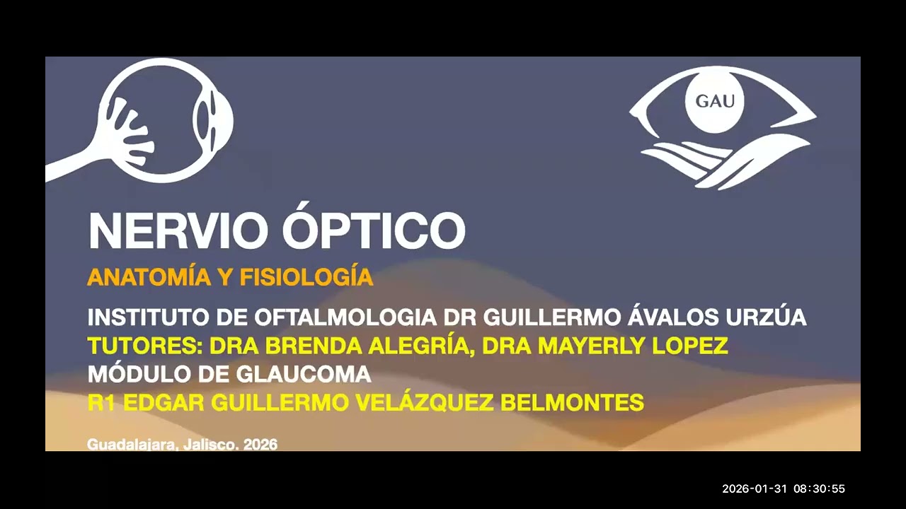 Nervio Óptico - Anatomía y Fisiología