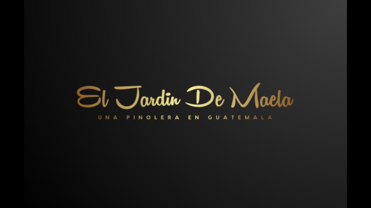 #89 El jardín de Maela - Trasplante de regalo de una suscriptora (Lucy Lu)