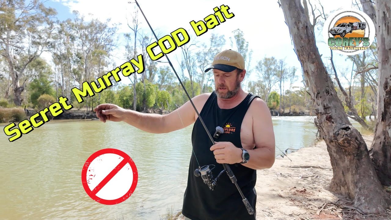 Secret Murray Cod Bait Fishing Recipe &ndash; River Fishing in Australia