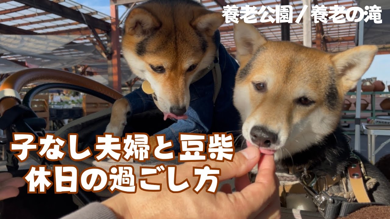 40代子なし夫婦にはきつすぎるお散歩コースでした（養老公園/養老の滝）