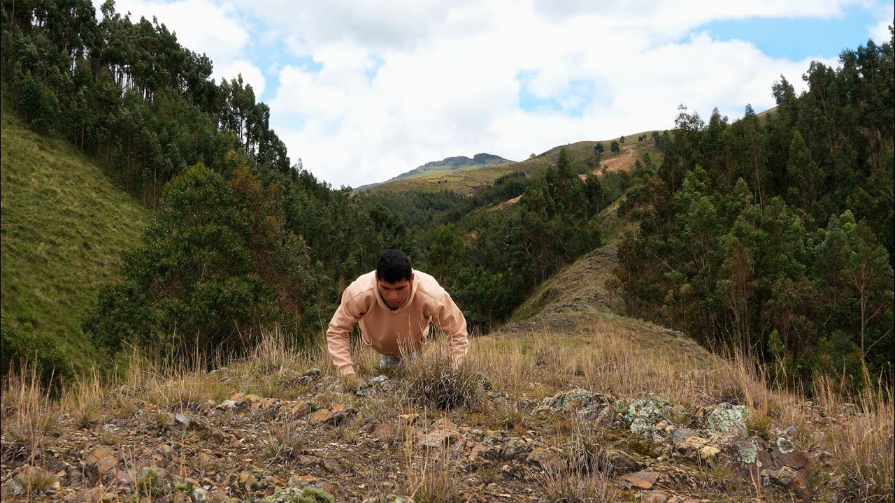 La naturaleza es mi hogar, un nuevo comienzo junto a los paisajes.