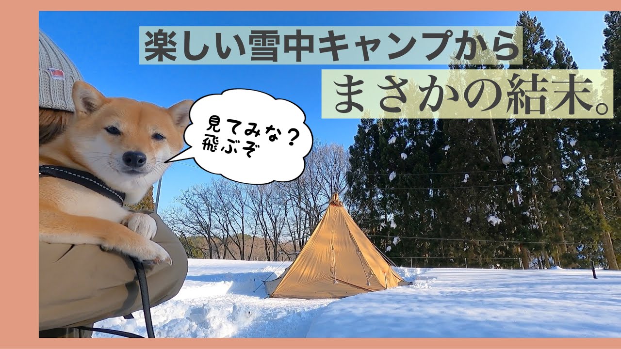 【犬連れキャンプ】豆柴ちくわもビックリのハプニング・・・雪中キャンプ＠森とぼくの休日（兵庫）