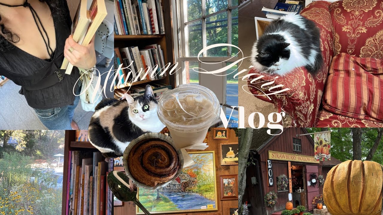 Life Diary | Cozy Fall Days, Bookstore Shopping, Cats, Tea, and Farm Visit