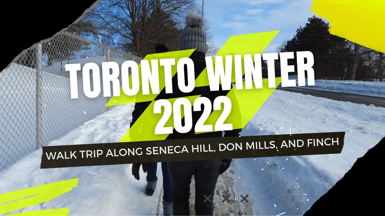 First Time in Toronto Winter - Walk Trip (2022)