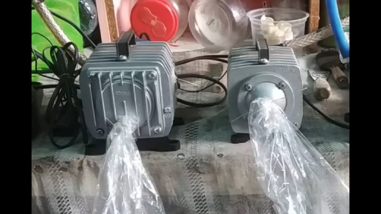 Air Pump Resun ACO 003 - ACO 004 Inspection and Cleaning