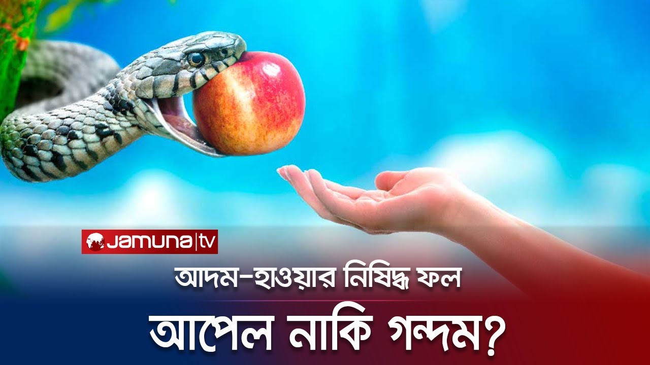 আপেল না গন্দম; কোন ফল খেয়ে জান্নাত থেকে নির্বাসিত হয়েছিলেন আদম-হাওয়া? | Adam | Hawa | jamuna TV |