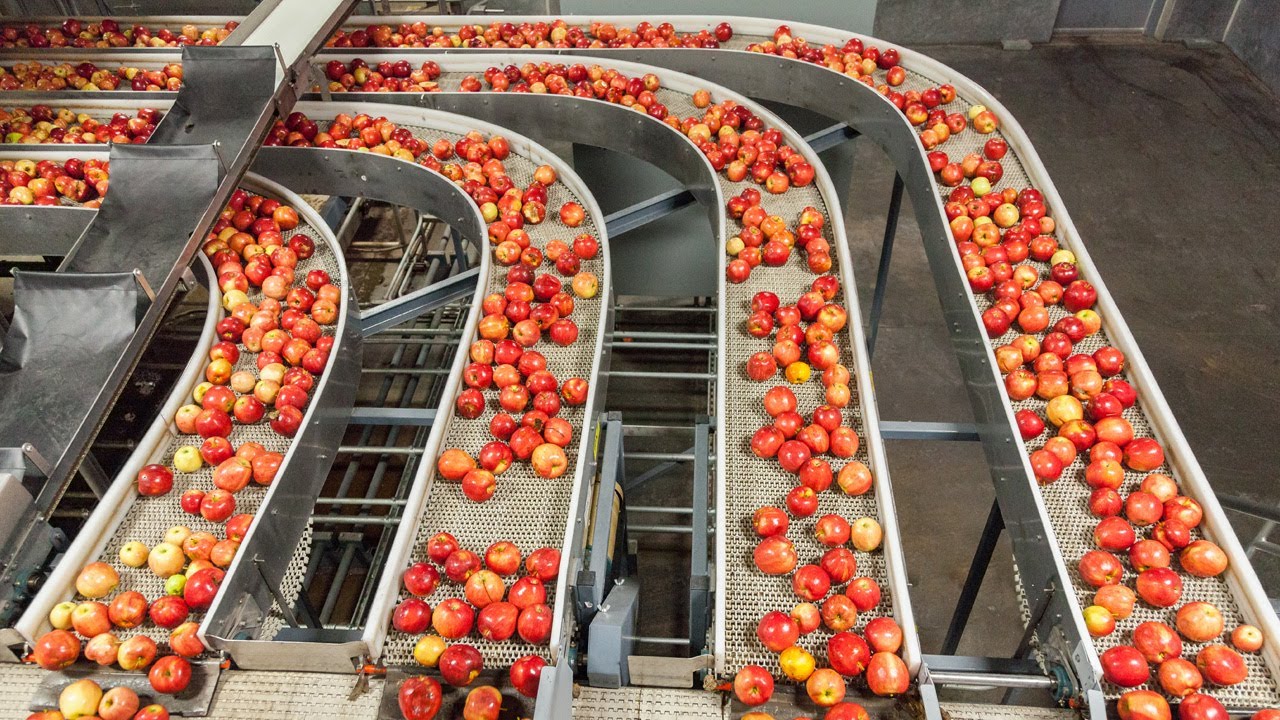 UK | The power of AI | Transforming food supply chains