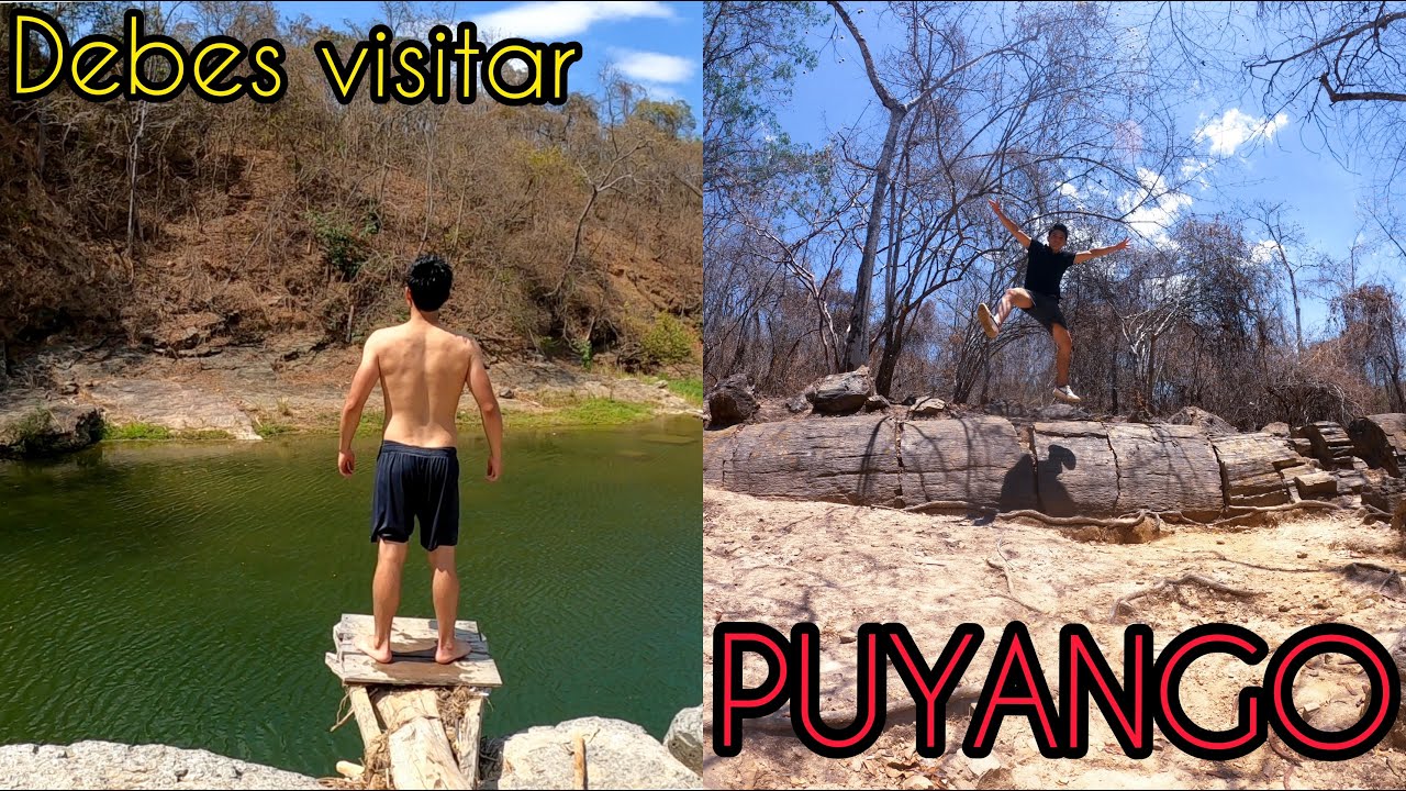 Bosque Petrificado | Lugares que debes visitar en PUYANGO
