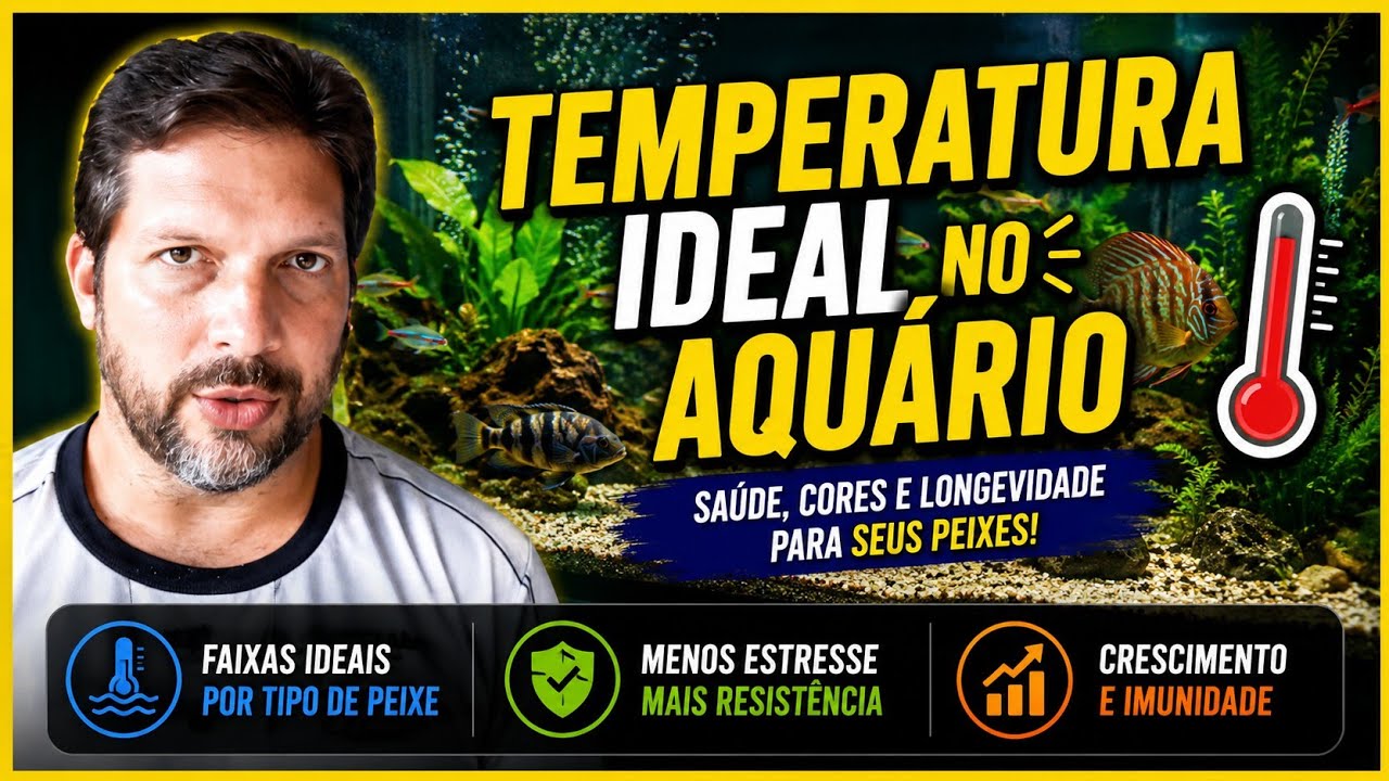 TEMPERATURA ideal no AQU&Aacute;RIO