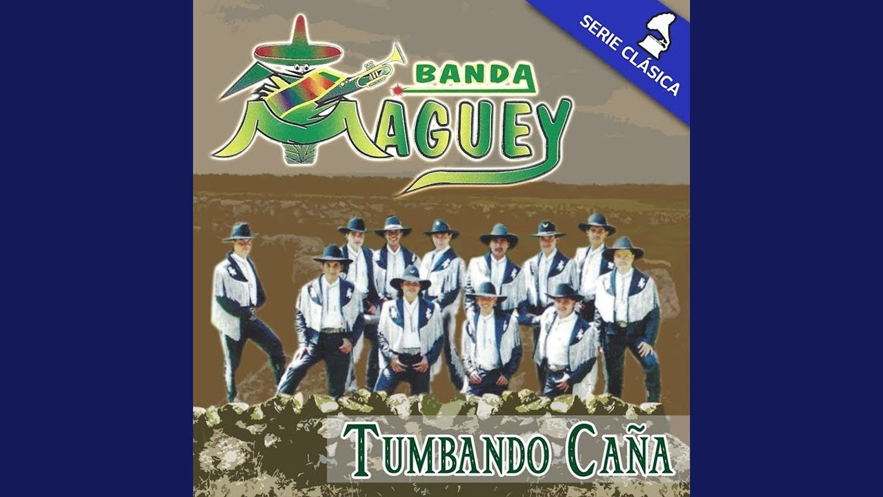 La Combi Anaranjada