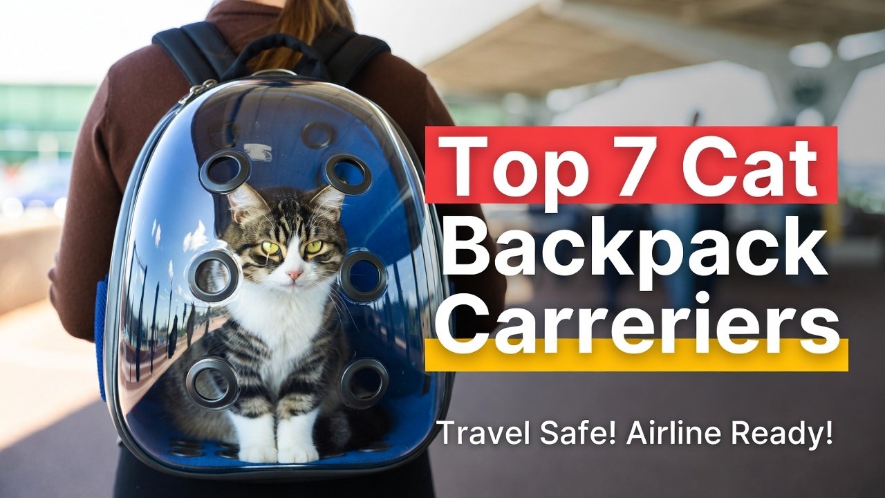 Top 7 Best Cat Carrier Backpack Bubble Design Review (Hidden Gem) Travel Safe Guide 2026