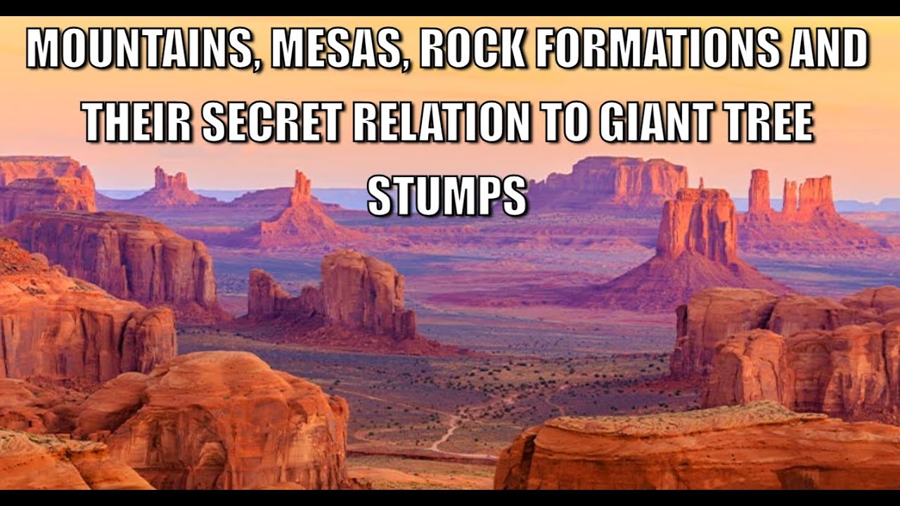 GIANT TREE STUMPS??? WHAT ARE 