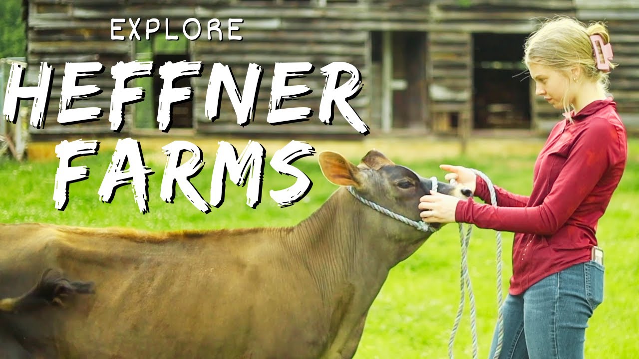 AMAZING Dairy Farm Changing the Game with COMPLETELY Raw Milk | Heffner Farms