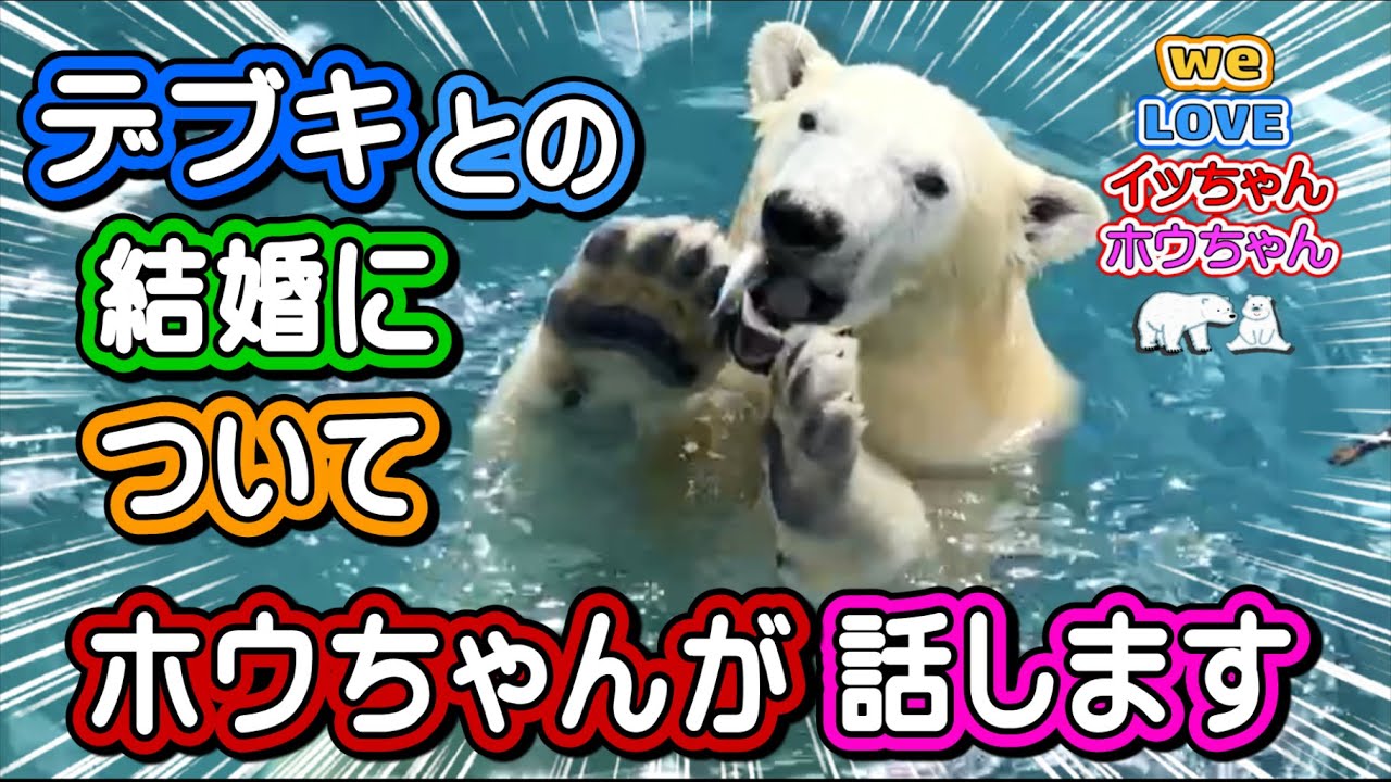 将来結婚する男鹿のデブキに合わせるために、ホウちゃんはゆったりまったりのお淑やかな女の子になる勉強を始めたのでした……(*´Д｀)【イッちゃんホウちゃん】