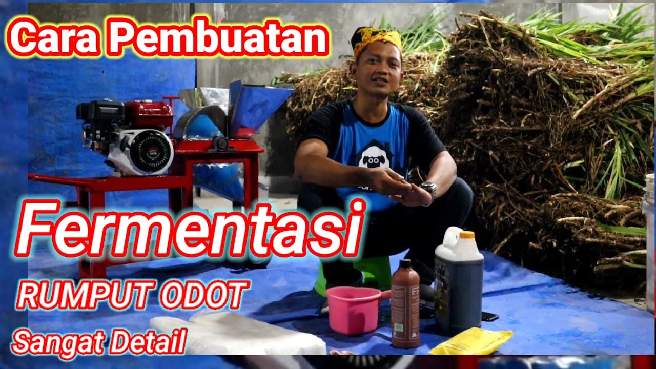 CARA MEMBUAT FERMENTASI RUMPUT ODOT - FERMENTASI PAKAN KAMBING DOMBA SAPI - MESIN CHOPER MULTIFUNGSI