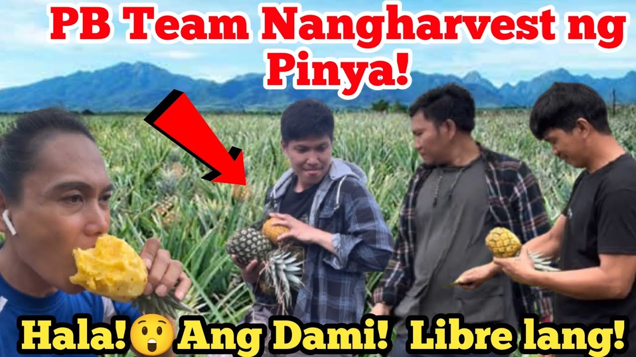 Wow😲Daming Pinya! | Libre lang to lahat?