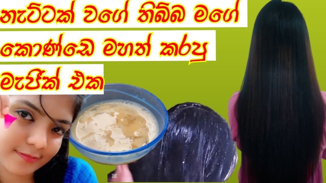  බිත්තර හෙයා මාස්ක්|කොණ්ඩෙ මහත් කරන රහස🧿| Egg Hair Mask For Faster Hair Growth🥰| Hair Growth Faster 