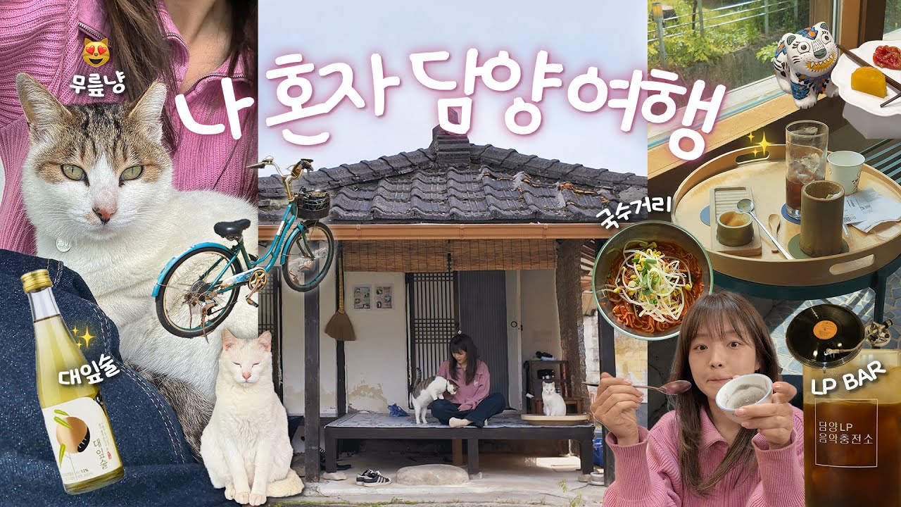 혼자 담양 여행🎍 무릎냥이 있는 숙소. 죽녹원 야간개장. 떡갈비, 대통밥, 대잎술 대나무 천국. LP바. 자전거 대여. SD카드 사망 but 행복한 뚜벅이 1박2일