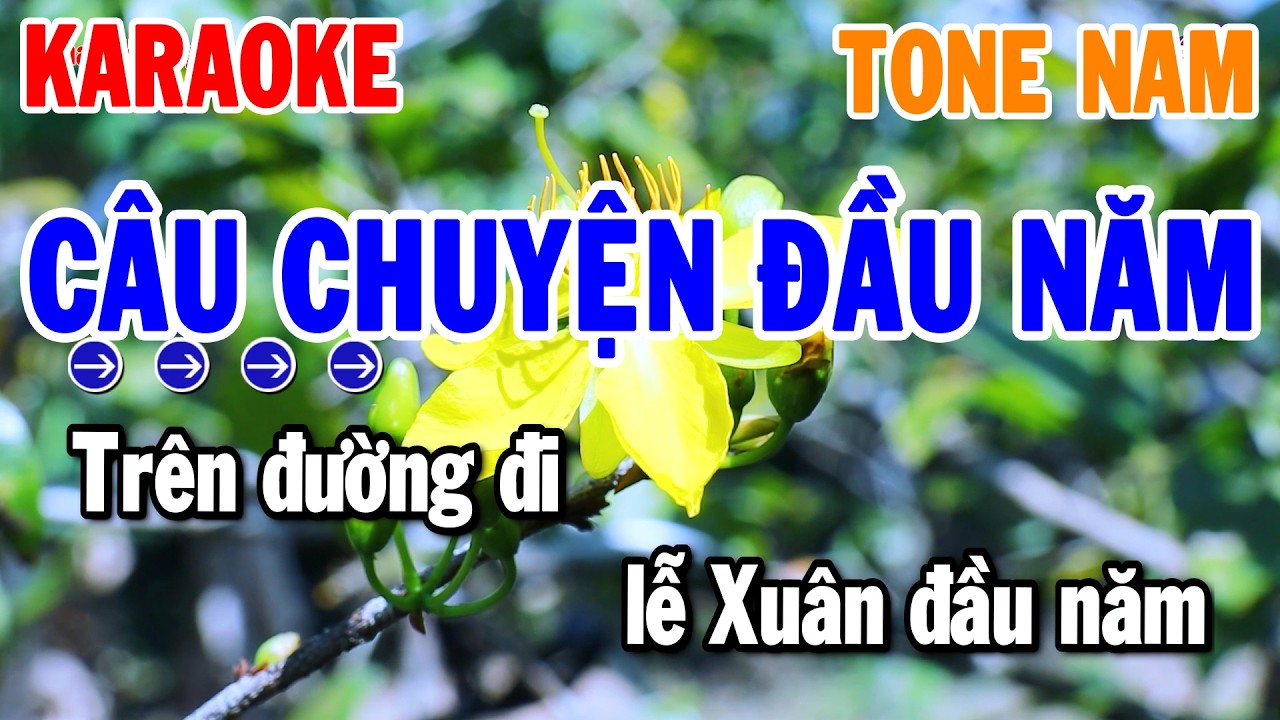Câu Chuyện Đầu Năm Karaoke Tone Nam Nhạc Sống Rumba Dễ Hát Nhất 2026 | Thanh Hải Organ