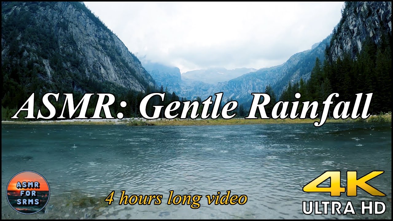 ASMR: 4 HOURS of GENTLE RAINFALL In the Woods near the River