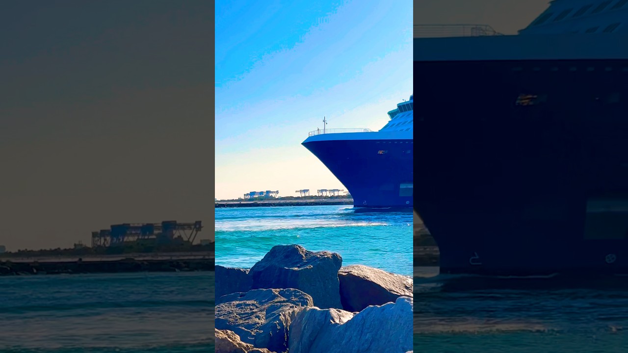 Celebrity Reflection 🛳️ 