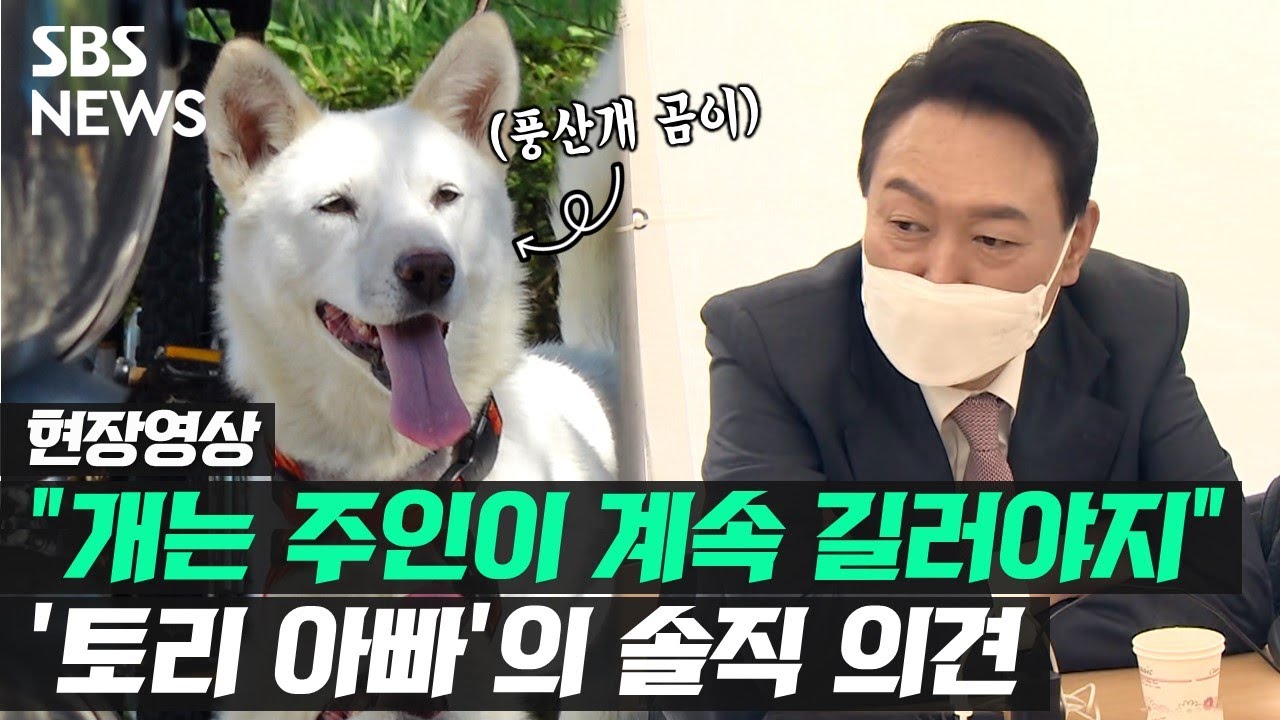 청와대 풍산개 '곰이' '송강이' 거취 어떻게 되나…윤석열 당선인 대답은? (현장영상) / SBS