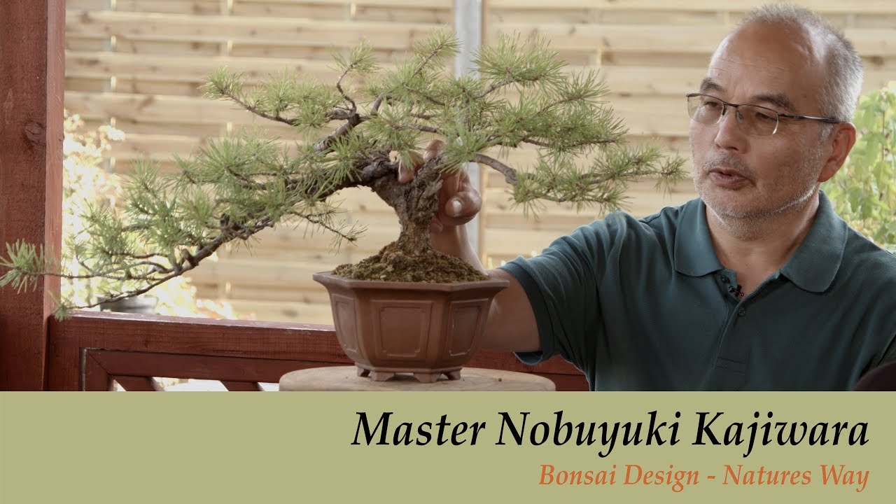 Bonsai Masterclass - Bonsai Trees Design - Natures Way with Master Nobuyuki Kajiwara 