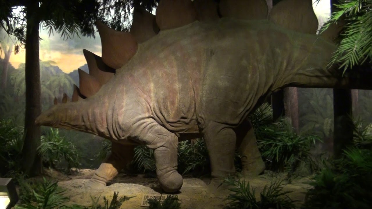 (台北木柵動物園恐龍館 ) 的影視 20190105101257