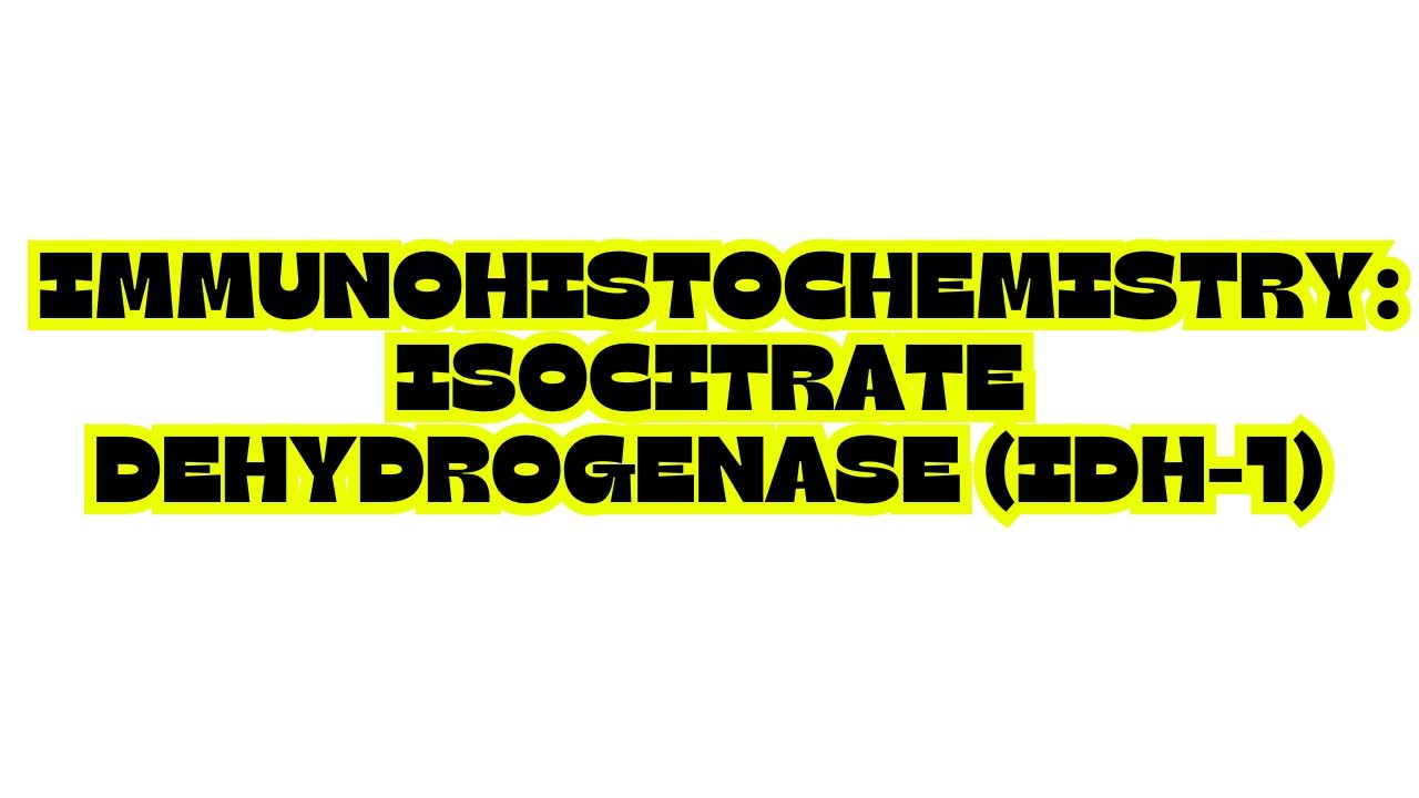 IMMUNOHISTOCHEMISTRY ISOCITRATE DEHYDROGENASE IDH