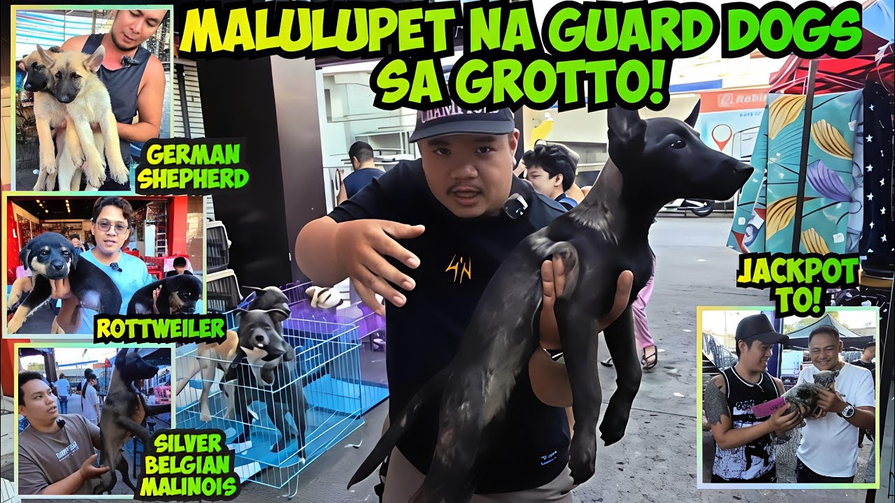 BUMABAHA NG MATITIKAS AT CUTE NA PETS SA GROTTO BULACAN! 12/28/2025