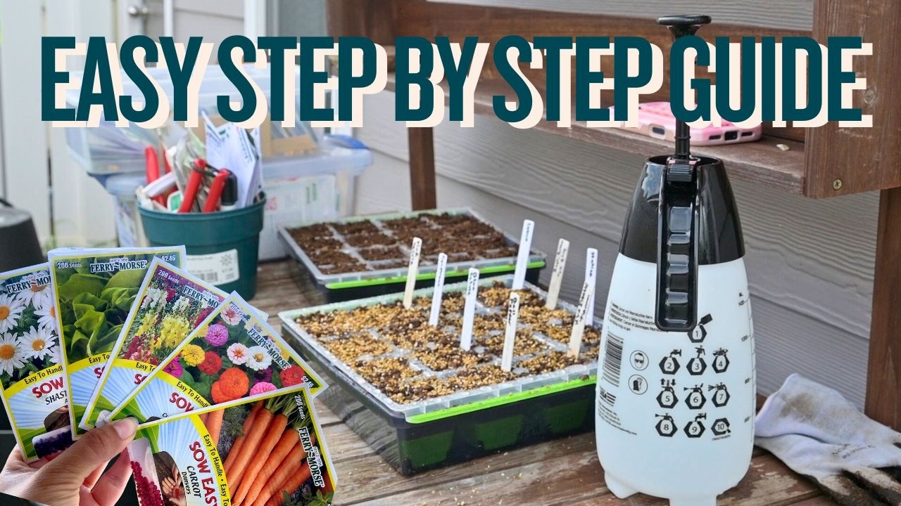 Seed Starting Flowers for Beginners