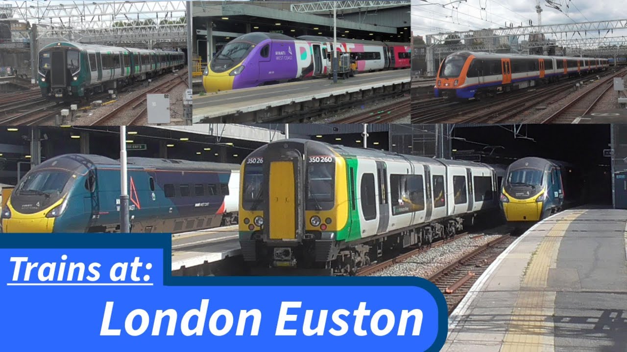 WCML: Trains at London Euston 24/08/25