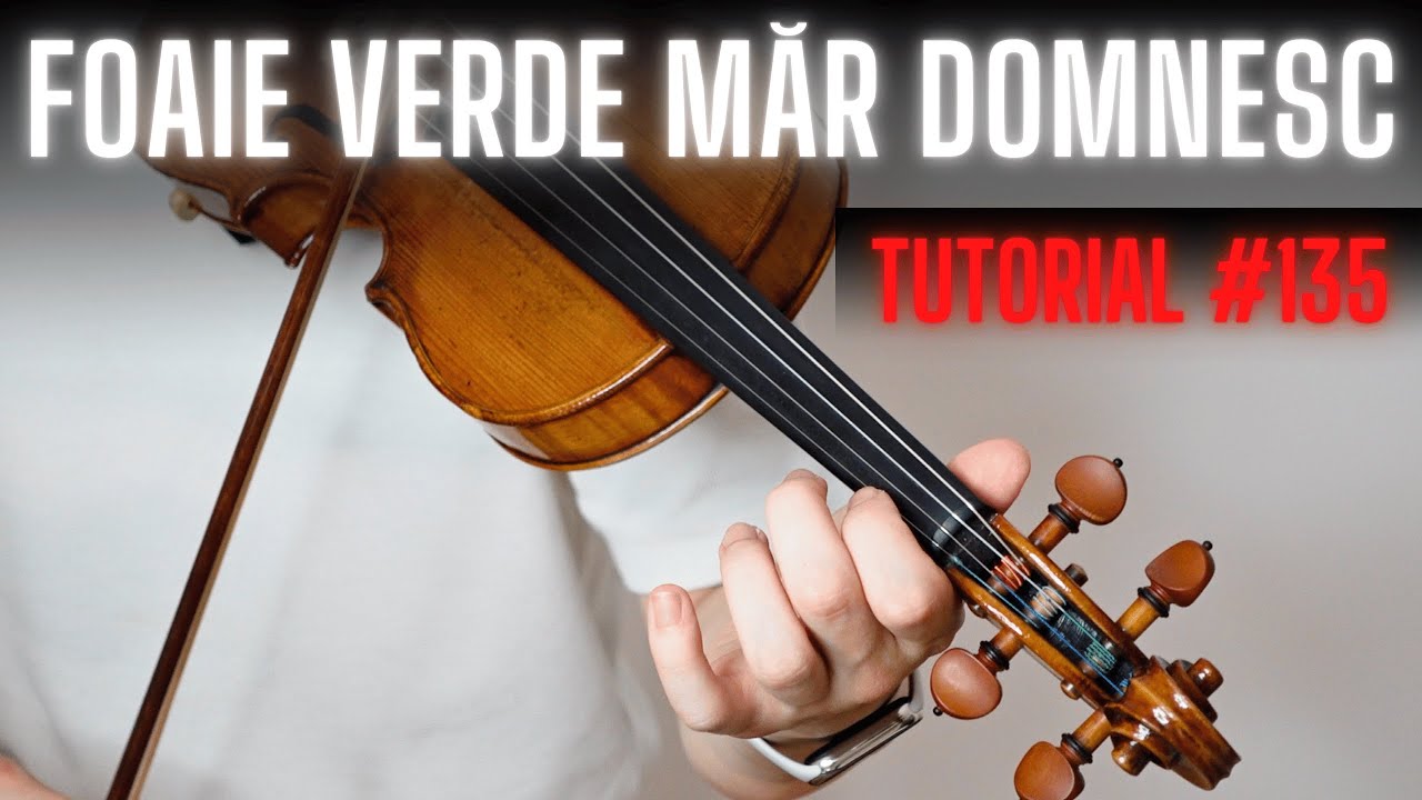 TUTORIAL VIOARĂ #135 🎻 FOAIE VERDE MĂR DOMNESC by Marian Alexandru (rezumat)