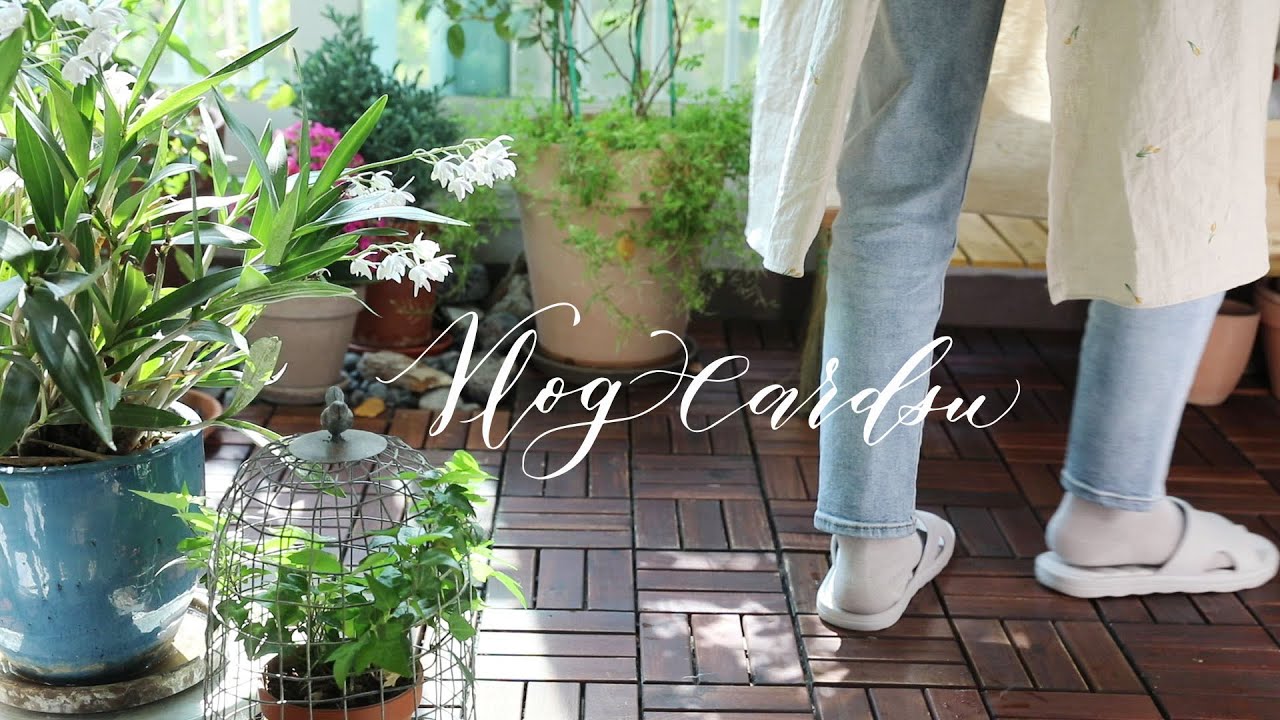 Наслаждайся весенней жизнью/Корейская еда/Садоводство/«Зеленая» жизнь