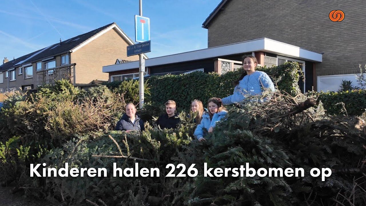 Kinderen uit Zuidland halen 226 kerstbomen op