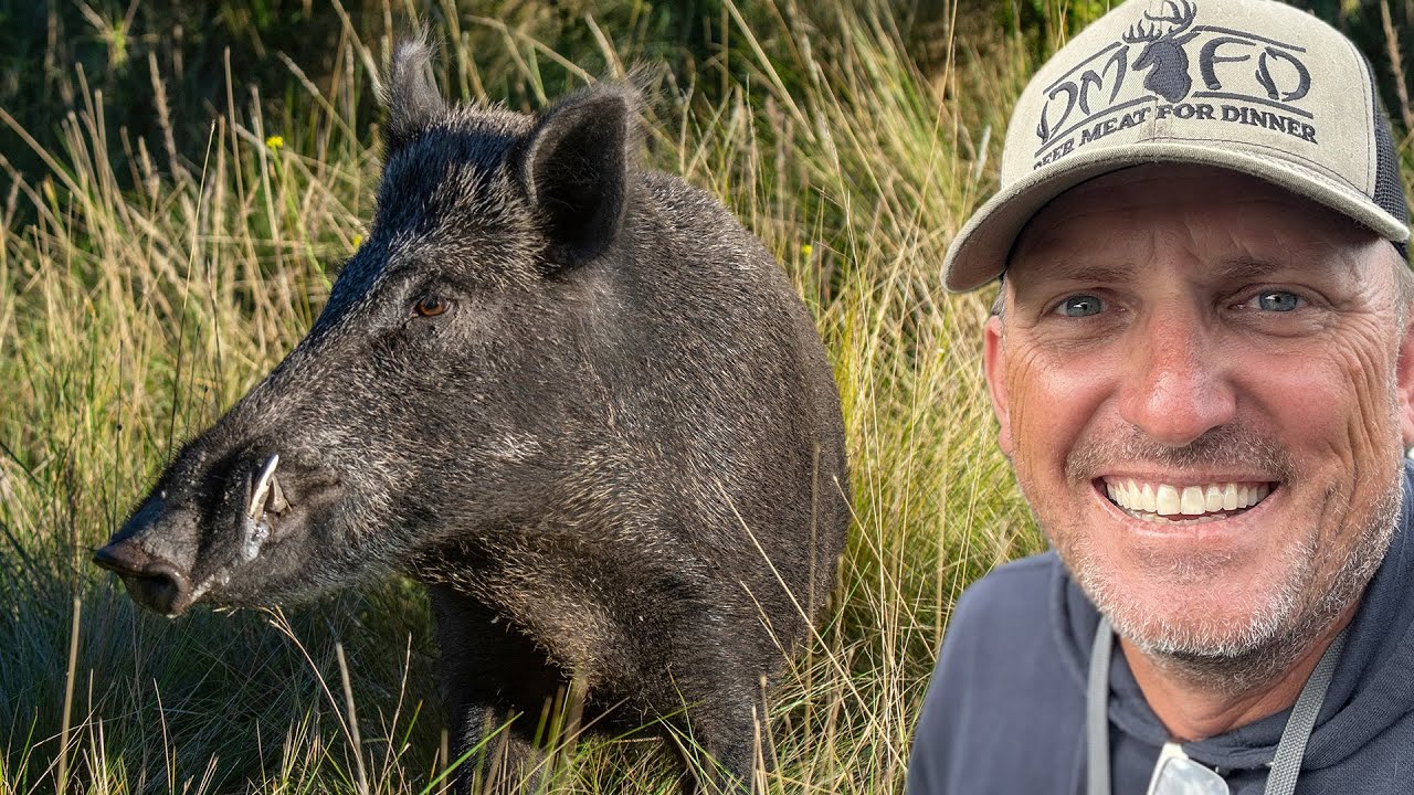 Wild Hog, Deer and Ducks! {Catch Clean Cook} Open Fire Cooking!