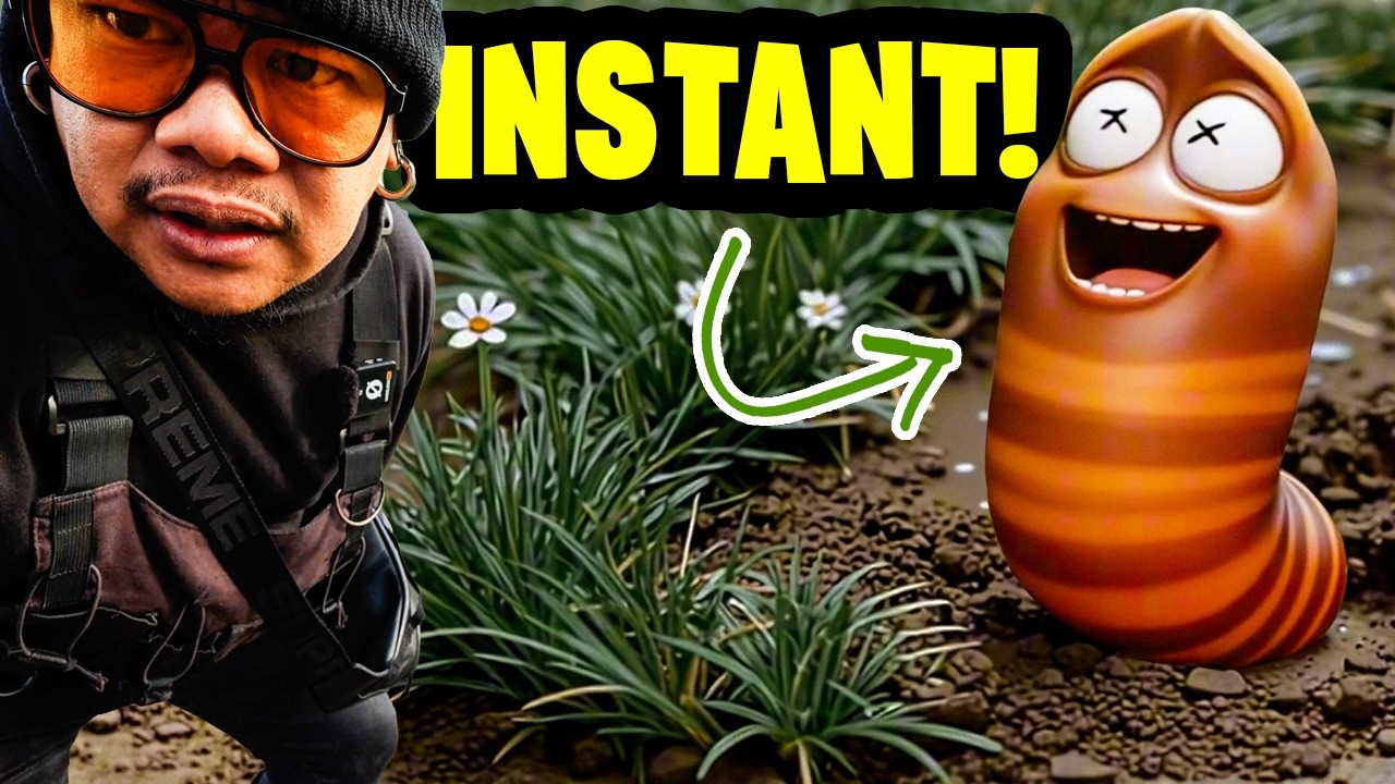 how to INSTANTLY get rid of worm castings in your lawn!