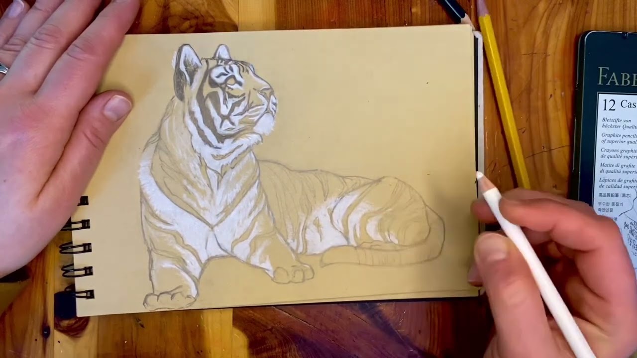 Pencil on Brown Paper: Tiger Drawing Tutorial