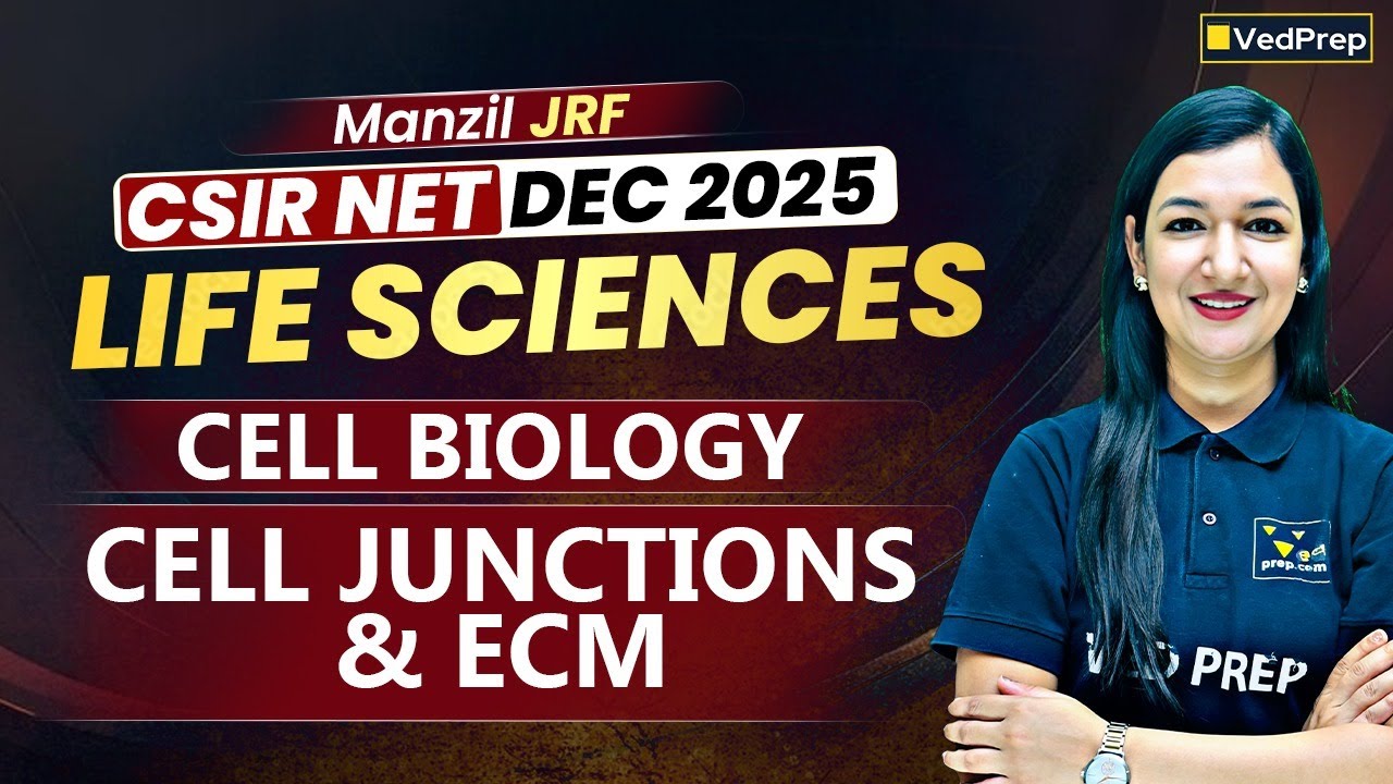 CSIR NET DEC 2025 Life Sciences | Cell Biology: Cell Junctions & ECM | Manzil JRF Series | VedPrep