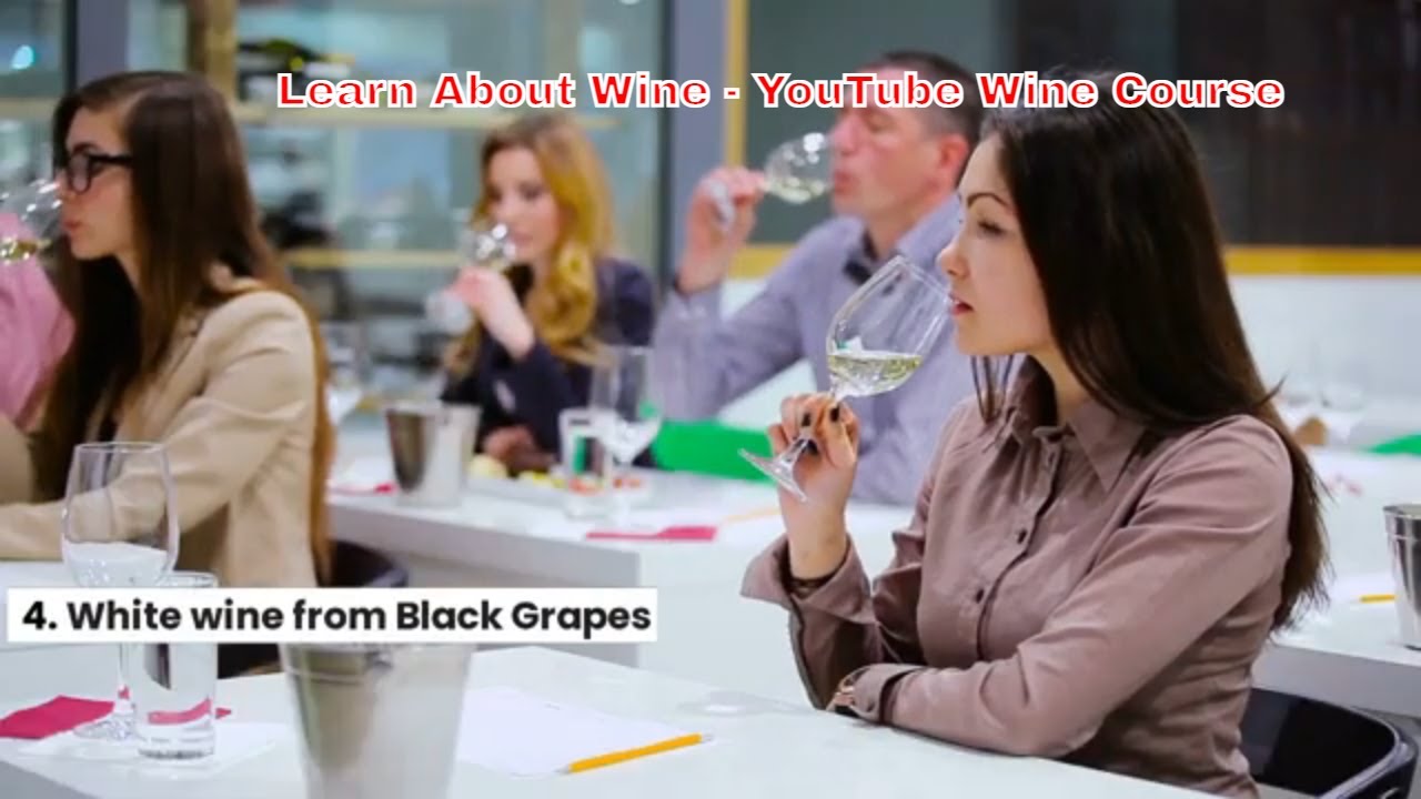 Youtube Wine Course- Learn About Wine Fast